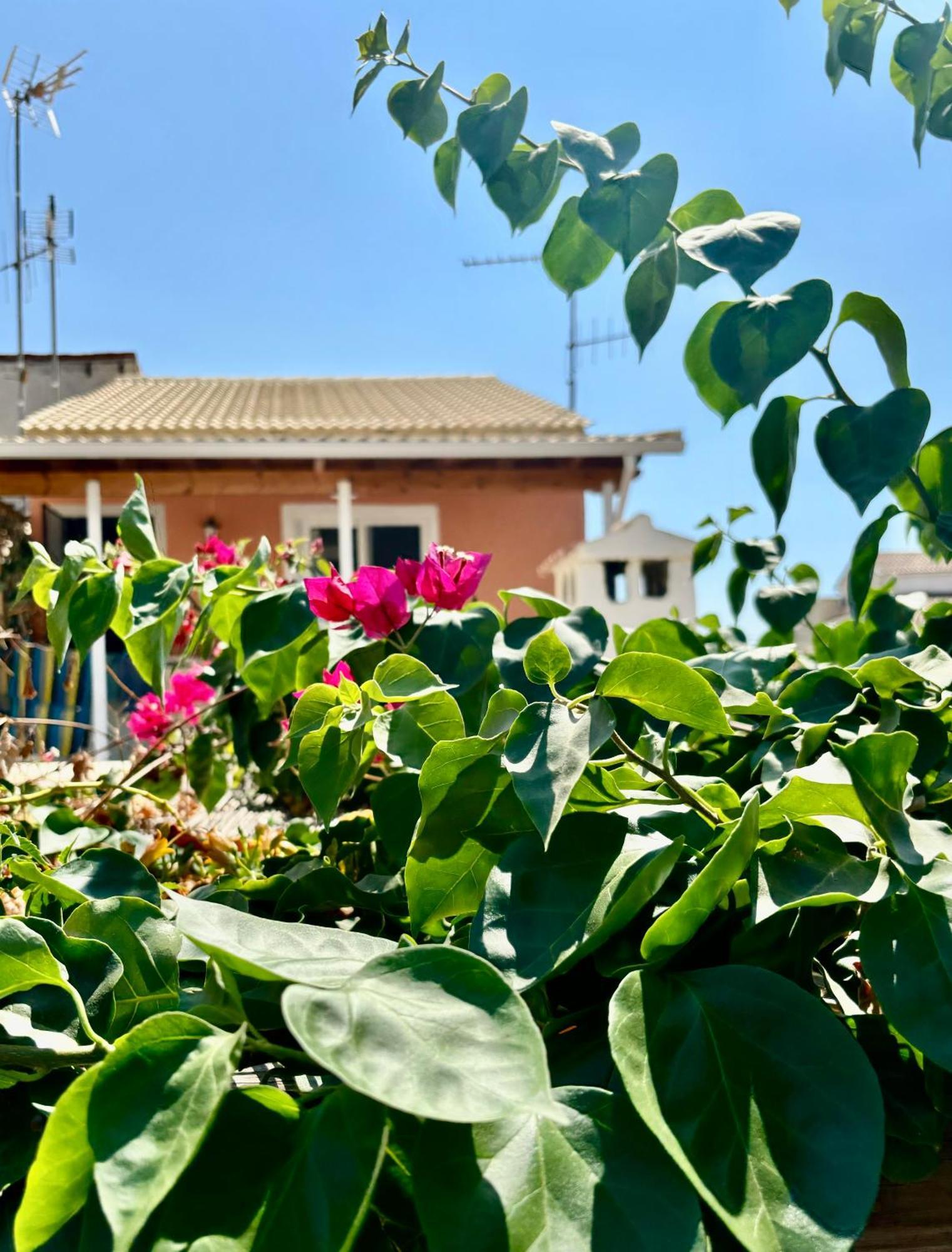 Traditional Corfiot House Perivolion Luaran gambar